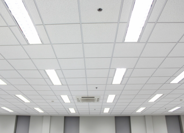 acoustical-ceilings-1747044092.png