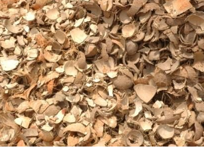 coconut-shell-chips-1747043922.png