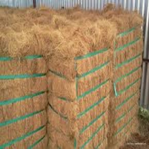 coir-fiber-1747004136.jpg
