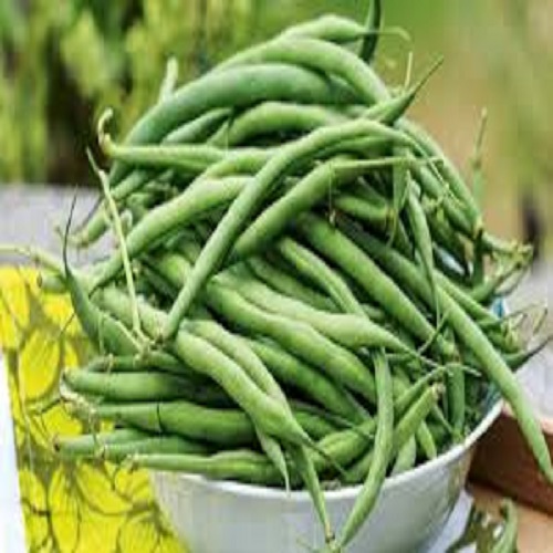 organic-bean-1747004137.jpg