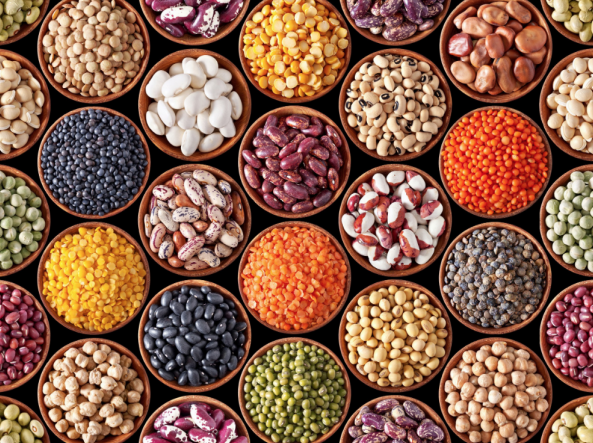 seeds-1747044092.png