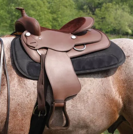 synthetic-saddles-1747043922.png