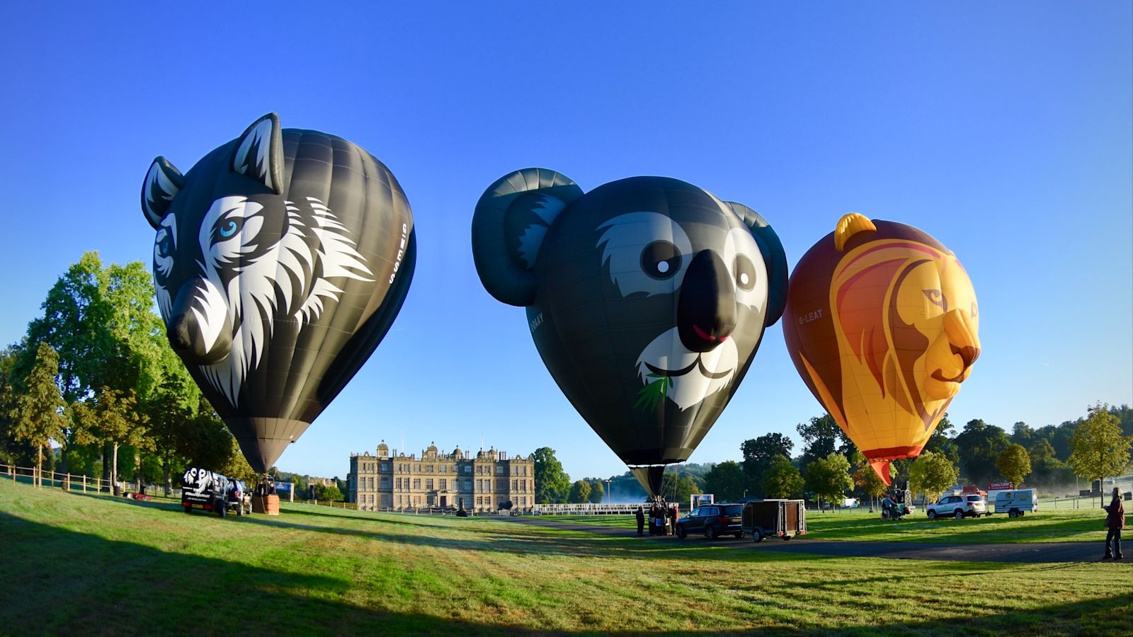 1750144866_Animal_special_shaped_balloons_taking_part_in_Sky_Safari_at_Longleat__1_.jpg