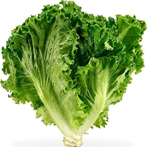 68396513a31a11748591891.jpg