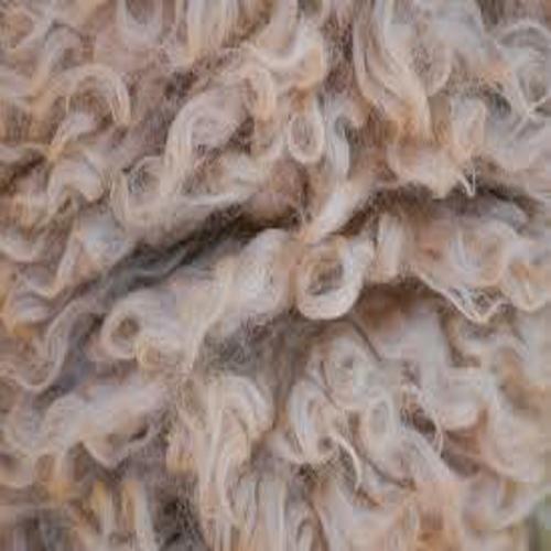 product_1068.jpg