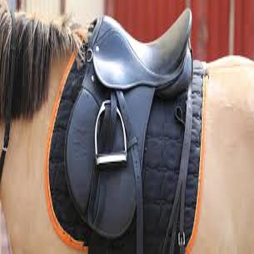 product_1214.jpg