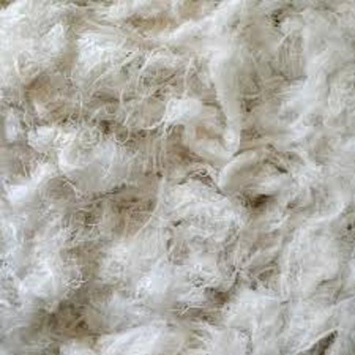 product_1483.jpg