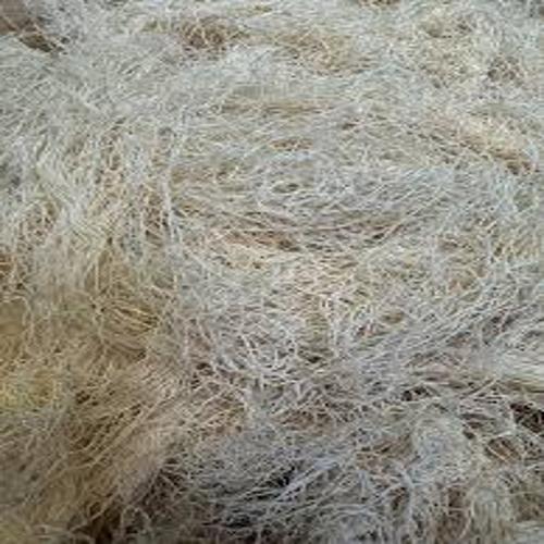 product_1884.jpg