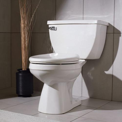 toilet-1747037107.jpg