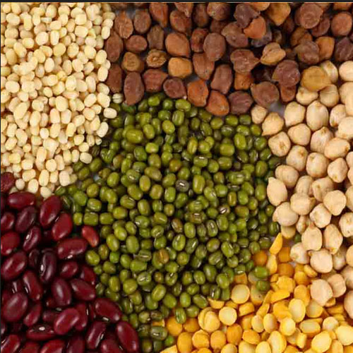 agro-products-1746880545.jpg